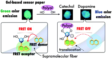 Graphical abstract: A supramolecular hydrogel containing boronic acid-appended receptor for fluorocolorimetric sensing of polyols with a paper platform