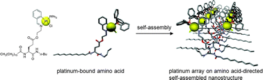 Graphical abstract: Metal array fabrication through self-assembly of Pt-complex-bound amino acids