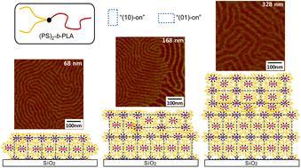 Graphical abstract: Thickness-dependent morphological behavior of dendritic (PS)2-b-PLA copolymer thin films on a SiO2 substrate
