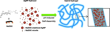 Graphical abstract: A novel method for preparing silver nanoparticle–hydrogel nanocomposites via pH-induced self-assembly