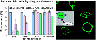 Graphical abstract: Generation of functionalized and robust semiconducting polymer dots with polyelectrolytes