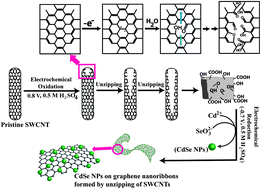 Graphical abstract: In situ electrochemical organization of CdSe nanoclusters on graphene during unzipping of carbon nanotubes