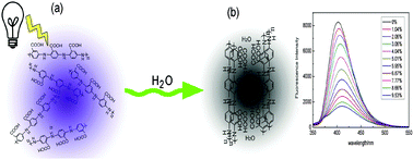 Graphical abstract: Highly sensitive fluorescent sensing for water based on poly(m-aminobenzoic acid)
