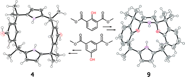 Graphical abstract: A calix[2]phenol[2]pyrrole and a fused pyrrolidine-containing derivative