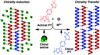 Graphical abstract: Chirality induction in metal-induced achiral polythiophene aggregates assisted by optically active amines and polythiophene
