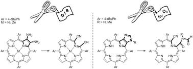 Graphical abstract: Synthesis of stable free base secochlorins and their corresponding metal complexes from meso-tetraarylporphyrin derivatives