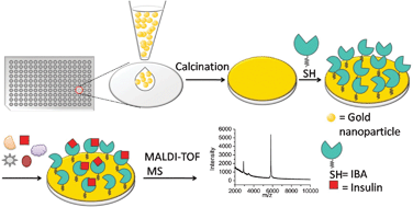 Graphical abstract: An aptamer based on-plate microarray for high-throughput insulin detection by MALDI-TOF MS