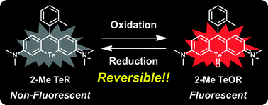 Graphical abstract: A reversible near-infrared fluorescence probe for reactive oxygen species based on Te–rhodamine