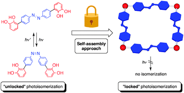 Graphical abstract: Photoisomerization locking of azobenzene by formation of a self-assembled macrocycle