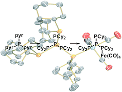 Graphical abstract: Access to catenated and branched polyphosphorus ligands and coordination complexes via a tri(pyrazolyl)phosphane