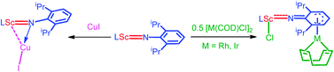 Graphical abstract: Reactivity of scandium terminal imido complexes towards metal halides