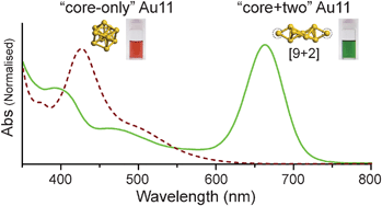 Graphical abstract: Unique [core+two] structure and optical property of a dodeca-ligated undecagold cluster: critical contribution of the exo gold atoms to the electronic structure