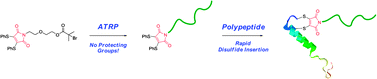 Graphical abstract: Highly efficient disulfide bridging polymers for bioconjugates from radical-compatible dithiophenol maleimides
