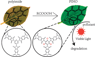 Graphical abstract: Hyperbranched polymeric N-oxide: a novel kind of metal-free photocatalyst