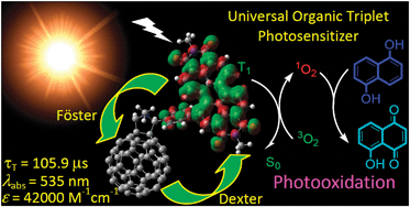Graphical abstract: Visible light-harvesting perylenebisimide–fullerene (C60) dyads with bidirectional “ping-pong” energy transfer as triplet photosensitizers for photooxidation of 1,5-dihydroxynaphthalene