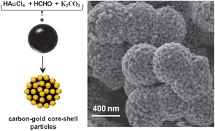 Graphical abstract: Carbon–gold core–shell structures: formation of shells consisting of gold nanoparticles