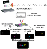 Graphical abstract: Laser desorption ionization mass spectrometric imaging of mass barcoded gold nanoparticles for security applications