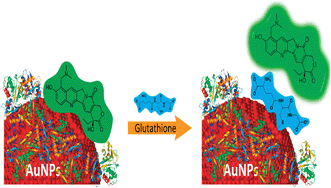 Graphical abstract: Live-cell monitoring of the glutathione-triggered release of the anticancer drug topotecan on gold nanoparticles in serum-containing media