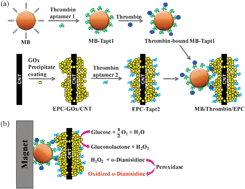 Graphical abstract: A sensitive and reliable detection of thrombin via enzyme-precipitate-coating-linked aptamer assay