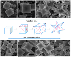 Graphical abstract: One-step synthesis of AgCl concave cubes by preferential overgrowth along 〈111〉 and 〈110〉 directions