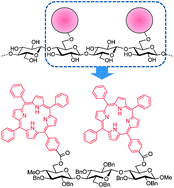 Graphical abstract: Chiroptical properties of an alternatingly functionalized cellotriose bearing two porphyrin groups