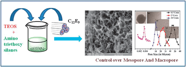 Graphical abstract: Synthesis of functional hybrid silica scaffolds with controllable hierarchical porosity by dynamic templating