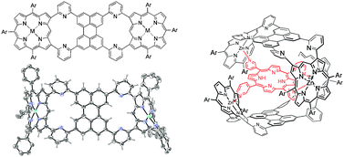 Graphical abstract: A doubly 2,6-pyridylene-bridged porphyrin–perylene–porphyrin triad