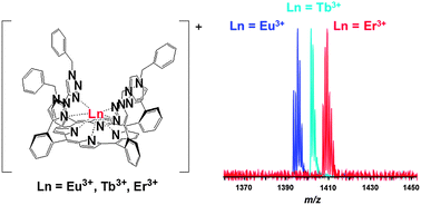 Graphical abstract: Synthesis of stable monoporphyrinate lanthanide(iii) complexes without ancillary ligands