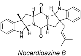 Graphical abstract: Total synthesis and absolute configuration of nocardioazine B