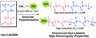 Graphical abstract: Facile synthesis of fluorescent dye labeled biocompatible polymers via immortal ring-opening polymerization
