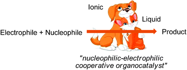 Graphical abstract: Cooperative nucleophilic–electrophilic organocatalysis by ionic liquids