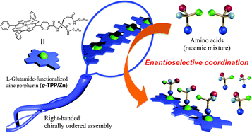Graphical abstract: Enantioselective recognition by a highly ordered porphyrin-assembly on a chiral molecular gel