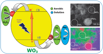 Graphical abstract: Improved photocatalytic efficiency of a WO3 system by an efficient visible-light induced hole transfer