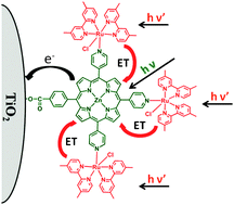 Graphical abstract: Sevenfold enhancement on porphyrin dye efficiency by coordination of ruthenium polypyridine complexes