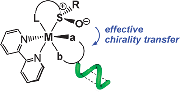 Graphical abstract: Transfer of chirality from ligands to metal centers: recent examples
