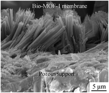 Graphical abstract: Synthesis and CO2/CH4 separation performance of Bio-MOF-1 membranes