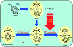 Graphical abstract: Zwitterionic half-sandwich Rh and Ir complexes containing a diphosphine nido-carborane ligand: synthesis, structure transformation and application in H2 activation