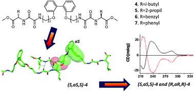Graphical abstract: Intermolecular central to axial chirality transfer in the self-assembled biphenyl containing amino acid–oxalamide gelators