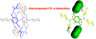 Graphical abstract: Dampened circumrotation by CH⋯π interactions in hydrogen bonded [2]rotaxanes