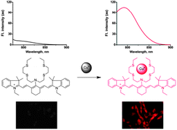 Graphical abstract: Development of a near-infrared fluorescent probe for imaging of endogenous Cu+ in live cells