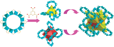 Graphical abstract: A 12-connected metal–organic framework constructed from an unprecedented cyclic dodecanuclear copper cluster
