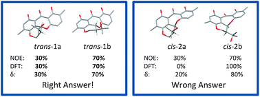 Graphical abstract: Accurate NOE-distance determination enables the stereochemical assignment of a flexible molecule – arugosin C