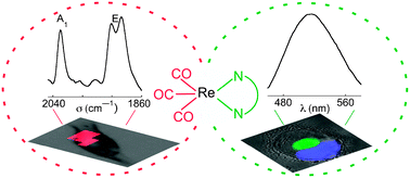 Graphical abstract: A rhenium tris-carbonyl derivative as a single core multimodal probe for imaging (SCoMPI) combining infrared and luminescent properties