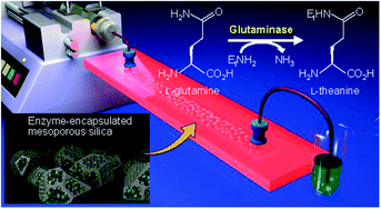 Graphical abstract: An enzyme-encapsulated microreactor for efficient theanine synthesis