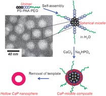 Graphical abstract: A block copolymer micelle template for synthesis of hollow calcium phosphate nanospheres with excellent biocompatibility