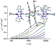 Graphical abstract: Designed cyanide- and phenoxide-bridged FeIIIMnIII single-molecule magnet constructed by highly blocked paramagnetic precursors