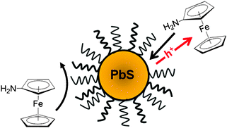 Graphical abstract: Gating of hole transfer from photoexcited PbS quantum dots to aminoferrocene by the ligand shell of the dots
