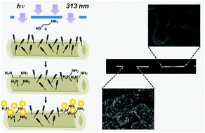 Graphical abstract: Site-specific immobilisation of gold nanoparticles on a porous monolith surface by using a thiol–yne click photopatterning approach