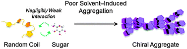 Graphical abstract: Unexpected chiral induction from achiral cationic polythiophene aggregates and its application to the sugar pattern recognition