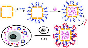 Graphical abstract: A bioresponsive controlled-release biosensor using Au nanocages capped with an aptamer-based molecular gate and its application in living cells